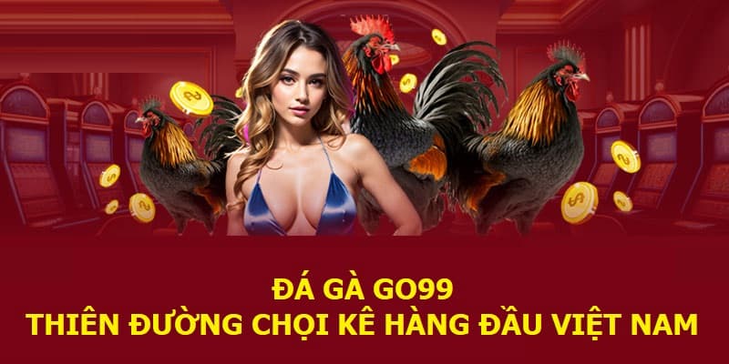 Khám phá trò chơi đá gà hàng đầu Việt Nam