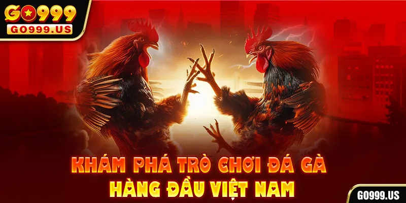 Khám phá trò chơi đá gà hàng đầu Việt Nam go99